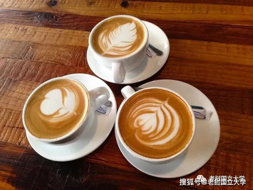 我的大学留学生活,和想象中的不一样